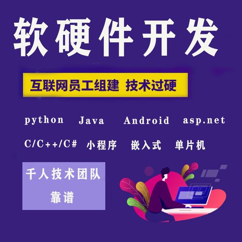 计算机程序java软件开发定制php代做matlab安卓net编写设计python